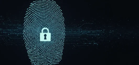 Digital Identity: How to Keep Your Information Safe Online